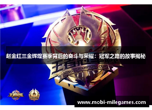 赵金红三金辉煌赛季背后的奋斗与荣耀：冠军之路的故事揭秘