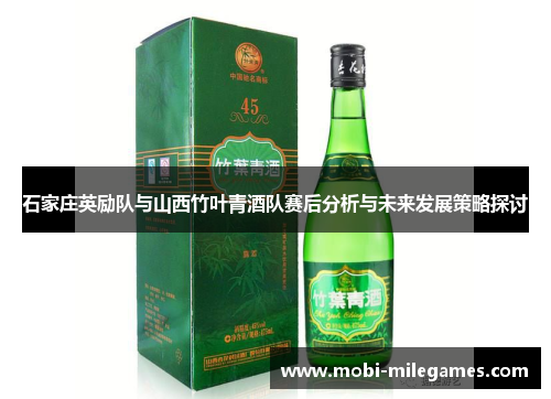 石家庄英励队与山西竹叶青酒队赛后分析与未来发展策略探讨