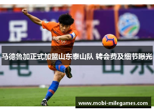 马德鲁加正式加盟山东泰山队 转会费及细节曝光